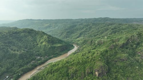 Aerial View of River Bend in Tropical Forest
