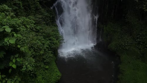 Lush Jungle Waterfall Aerial View