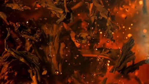 Tea Leaves Diffusing in Hot Water, Close Up