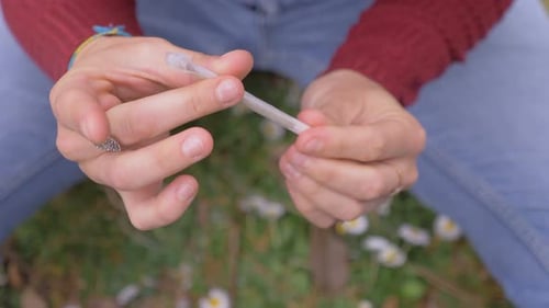 woman hands rolling a joint of marijuana - outdoor- close up