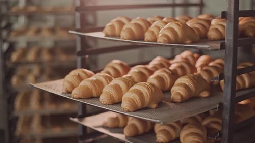 Freshly Baked Croissants on Trays in Bakery