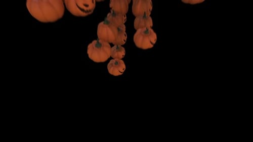 Pumpkins on Ground