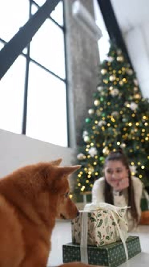 Girl and Dog with Christmas Presents at Home