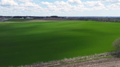 Aerial footage of green farmland field crops on picturesque rolling hills with clouds and blue sky i