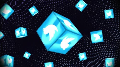3D Twitter Logo_Box Style Animation V2