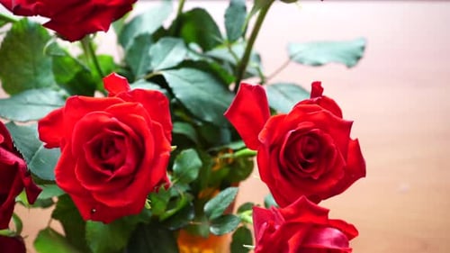 Red Rose Flowers Bunch