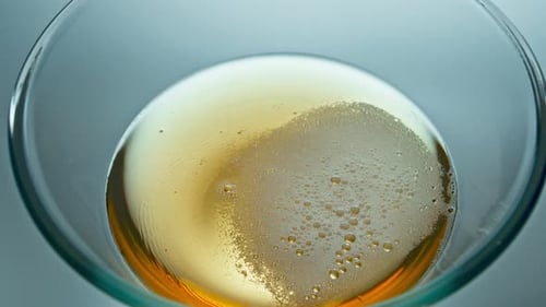 Alcoholic Drink Foamy Surface Top View. Lager Beer Bubbles Bursting Slowly Closeup. Craft Carbona...