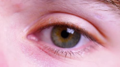 4K Cinematic slow motion macro shot of a green left eye, with blue and brown flecks, opening and loo