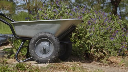 Gardener Pushing Wheelbarrow In The Garden With Flowers. - crop shot