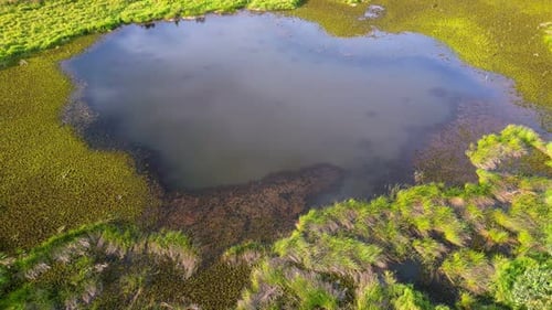 Aerial rotation view the pond near wetland