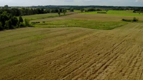 Luftaufnahmen über Goldfeld Nahaufnahme, Lichtkomposition in natürlicher Landschaft am Tag, Dorfklimmen