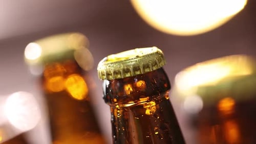 Close Up of Brown Beer Bottles with Condensation