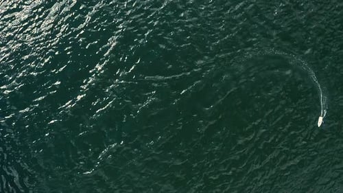Boat Travels on the Water, Leaving a Wake
