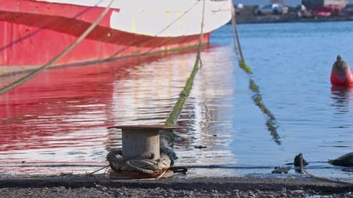 Schiffs- und Seilliegeplatz zum Dock