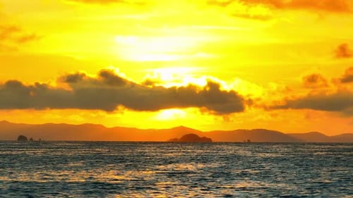 An aerial shot of a golden sunset reflecting over the ocean.