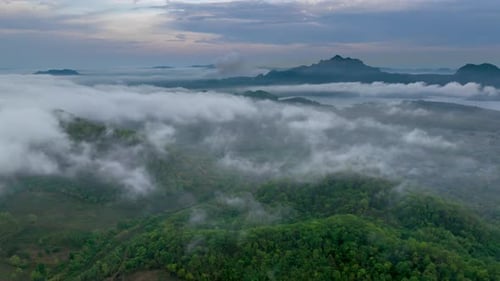 Hyperlapse 4K de Misty Morning Valley à Mae Mo, Lampang, Thaïlande