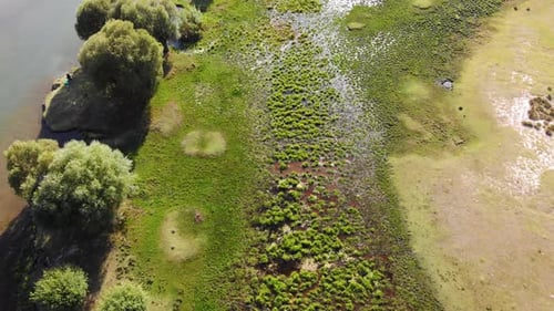 Aerial View of Mossy Swamp