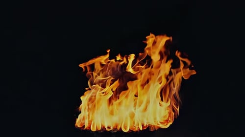 Vibrant Fire Flames Isolated on Black Background