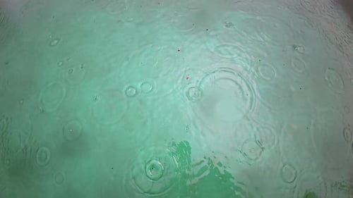 Regentropfen in Zeitlupe tropfen in flaches grünes Wasser, Naturhintergrund