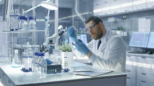Scientist Experiments with Plant Specimen in Modern Laboratory