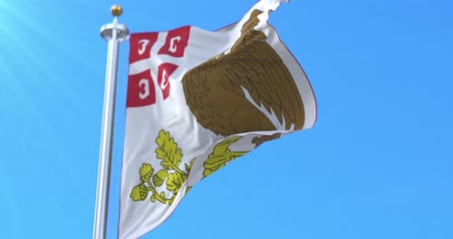 Realistic Flag Animation with Emblem Waving in Blue Sky