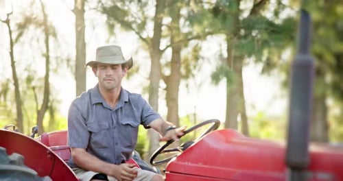 Tractor, farmer and man drive at farm greenhouse for harvest, growth and vegetable production