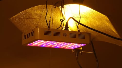 Bunte LED-Leuchten hängen in einem Raum vor einer gelben Entladungslampe mit hoher Intensität.