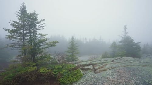 Acadia Cadillac Mountain Storm Fog