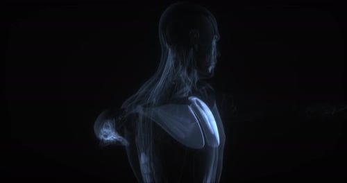3D X-Ray Scan of Human Shoulder Bones Rotation