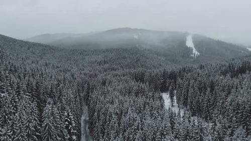 Winter Snowy Forest in the Mountains Top View