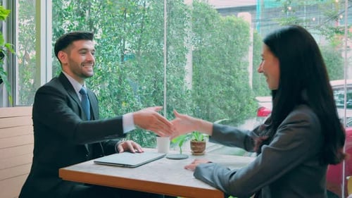 Business Professionals Handshake After Productive Meeting