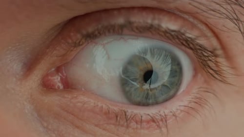 Closeup of Male Blue Eye with Pupil and Iris Details