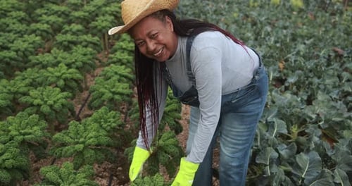 African Farm Woman Harvests Organic Vegetables