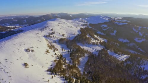 High Snowy Mountain Covered with Evergreen Fir Trees on a Sunny Cold Day