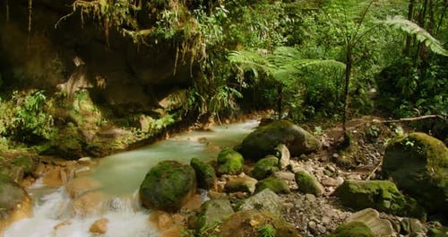 Turquoise rainforest stream flowing over mossy rocks in wild jungle of Costa Rica