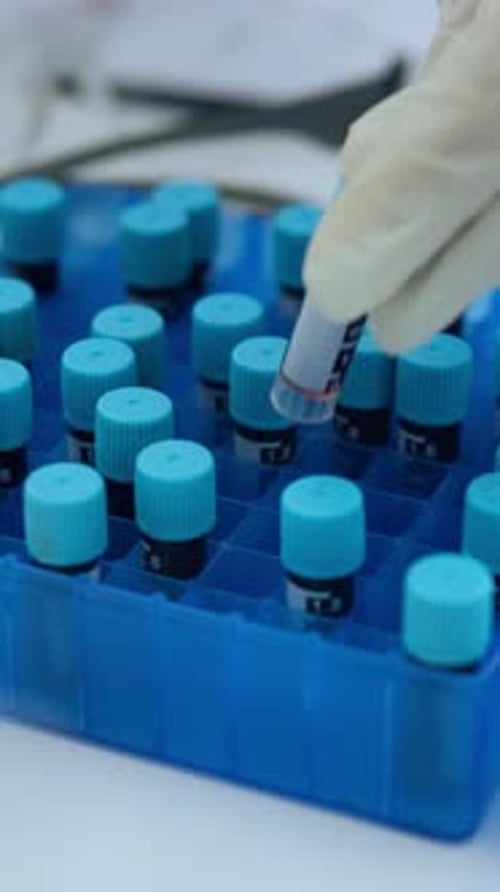 Gloved Hands Removing Test Tube from Rack
