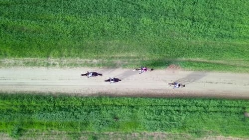 Horseback riding in a green Badlands terrain, aerial footage
