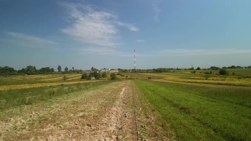 Wheat field aerial view in Ukraine