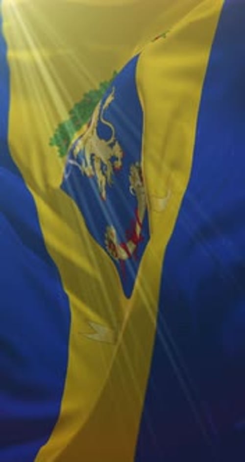 Realistic Waving Vertical Flag Animation with Crest and Sun Rays