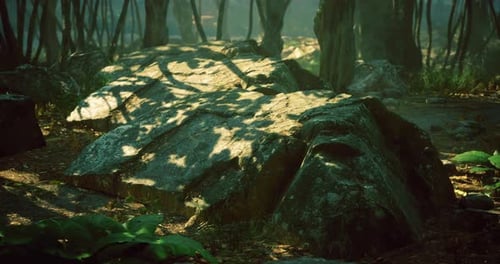 Ancient Stone Formation Surrounded By Lush Vegetation in a Tranquil Forest