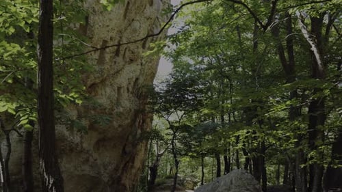 The Deaf Stones Rock Sanctuary Shrine And Thracian Cult Monument In Rhodope Mountains, Bulgaria. Tra