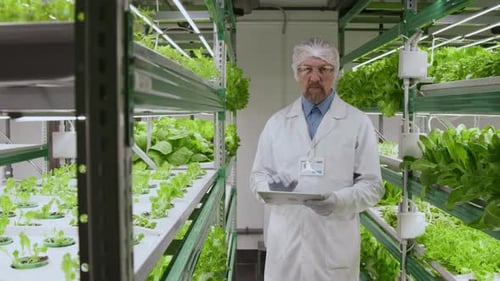 Scientist Using Tablet in Vertical Farm