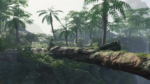 Tropical Jungles of South East Asia