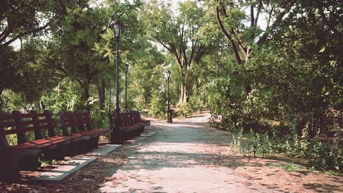 Paths in the Park Zone
