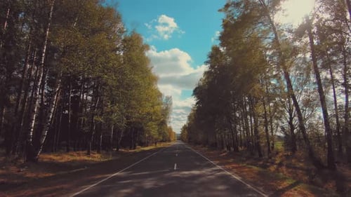 Camera moves along the autumn asphalt road