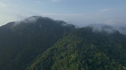 Drone fly over greenery landscape of rainforest on the mountain range. Tropical landscape view of fo