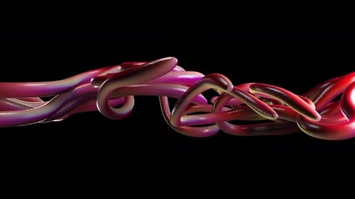 Dynamic Fluid Abstract Organic Shapes Intertwining Animation