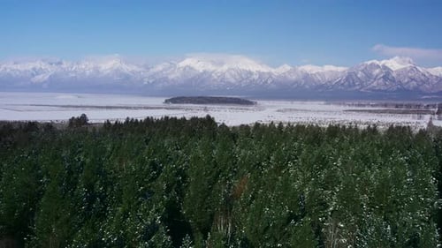 Winter Landscape with Mountains and Forest