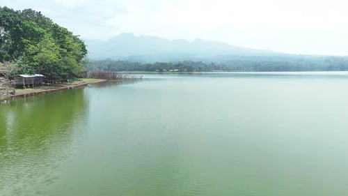 Aerial view of green lake landscape with forest tree