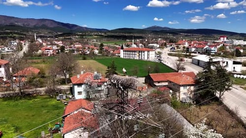 A stork in the village with drone
